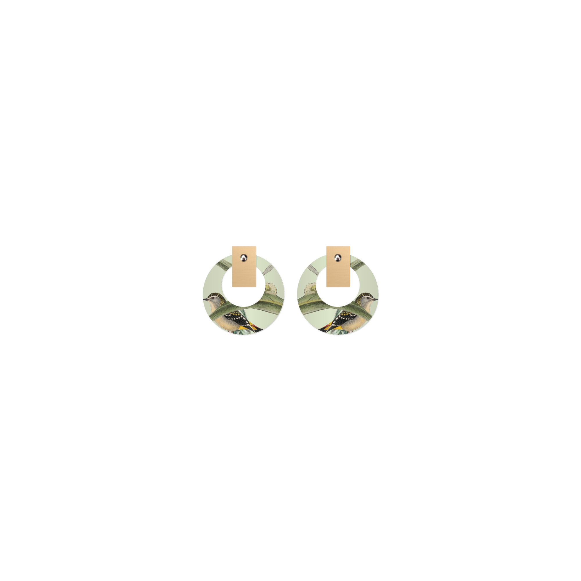 Native Birds Parrot & Pardalote Layered Small Retro Stud Earring