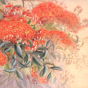 Ellis Rowan Blossom Circle Party Pack Earring