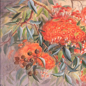 Ellis Rowan Eucalyptus Mixer Pack Earring