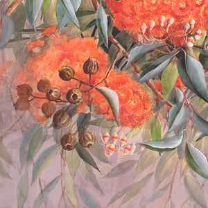 Ellis Rowan Gumnuts Keyring