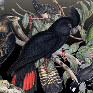 Native Birds Black Cockatoo Layered Tab Drop Earring