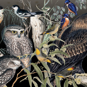 Native Birds Kingfisher Pack