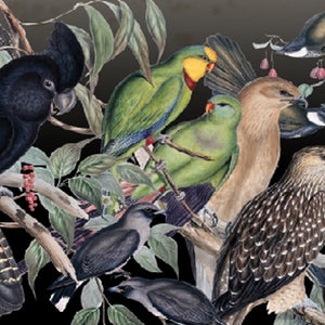 Native Birds Parrot and Pardalote Pack