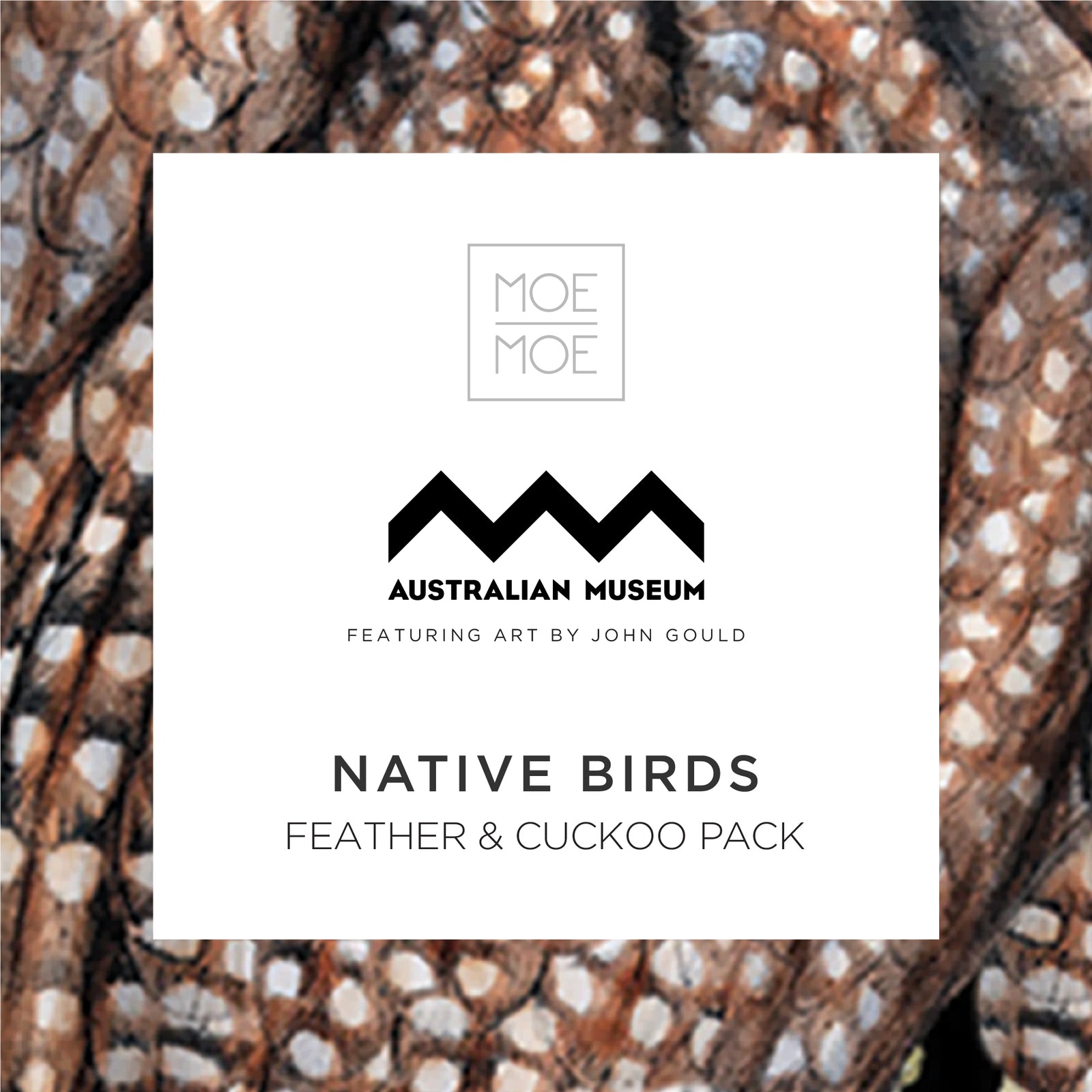 Native Birds Feather and Cuckoo Pack