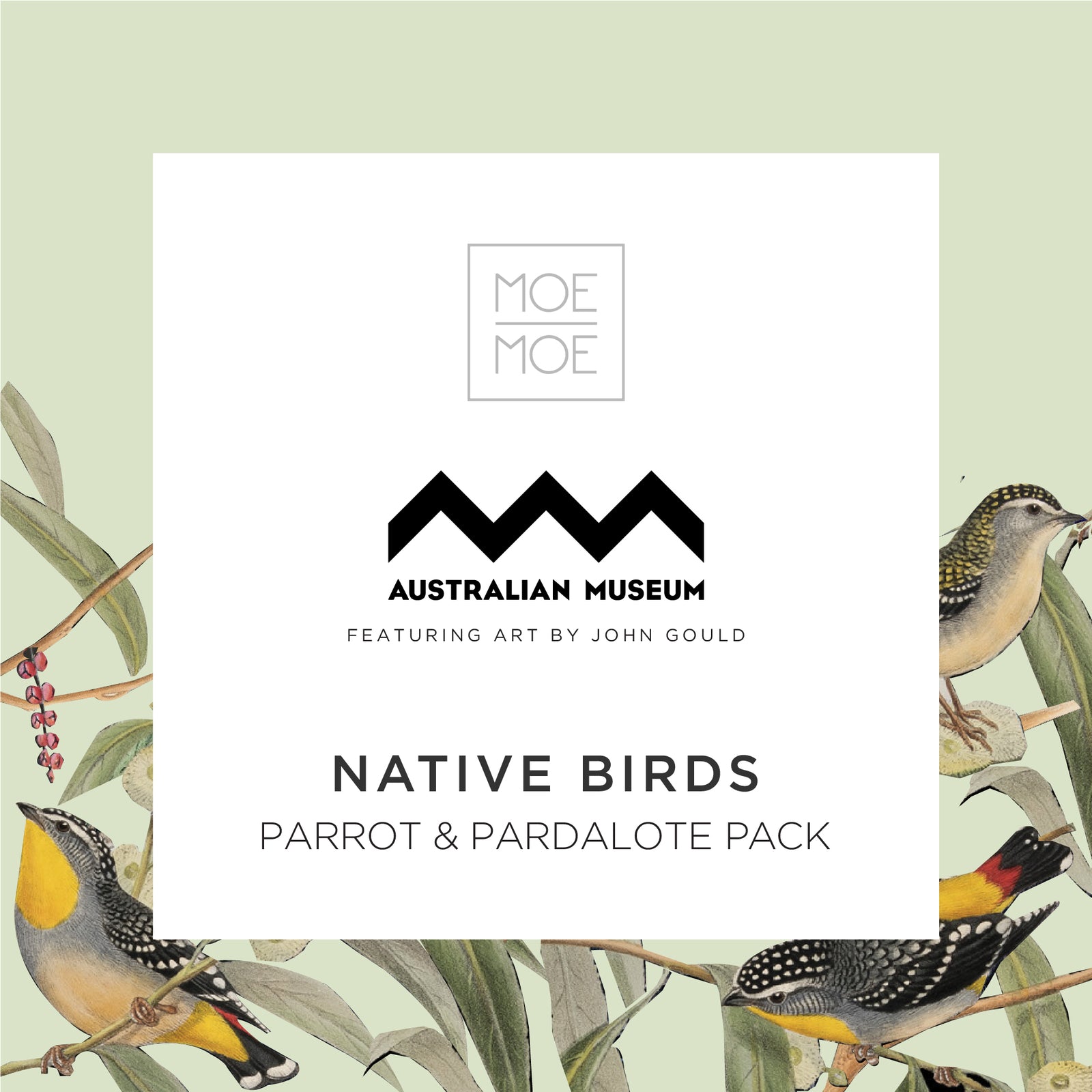 Native Birds Parrot and Pardalote Pack