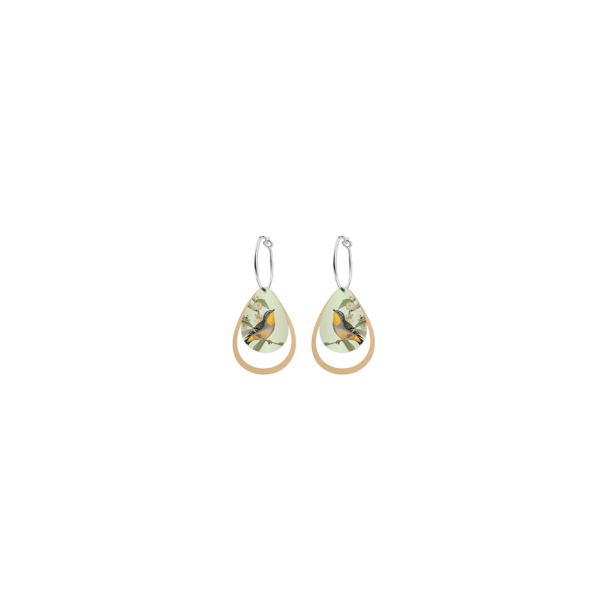 Native Birds Parrot & Pardalote Layered Iconic Outline  Hoop Earring